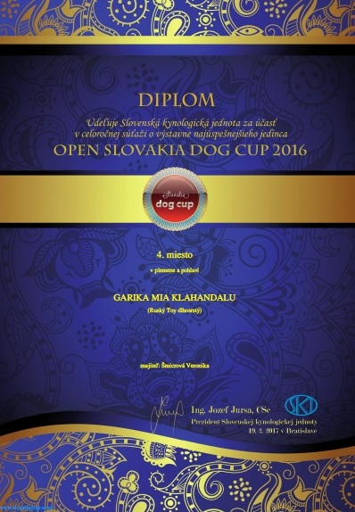 OPEN DOG CUP 2017