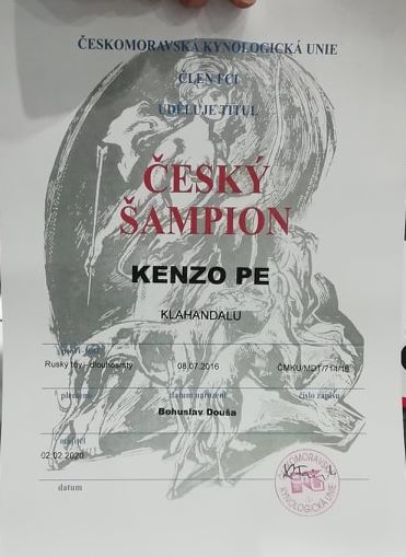 CH CZ Kenzo1