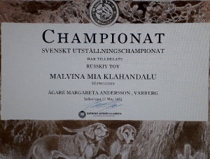 malvina-champion-swerige.jpg